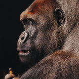 Wildlife 002 Walldecoration Wandkraft