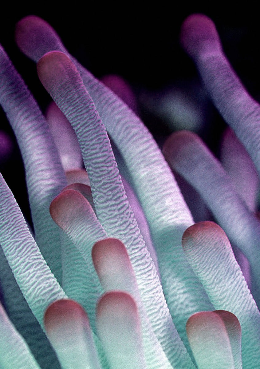 Wonderful Life 021 (Outlet) Walldecoration Wandkraft