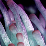 Wonderful Life 021 (Outlet) Walldecoration Wandkraft