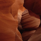 Art of Nature 007 Walldecoration Wandkraft 74x74 cm