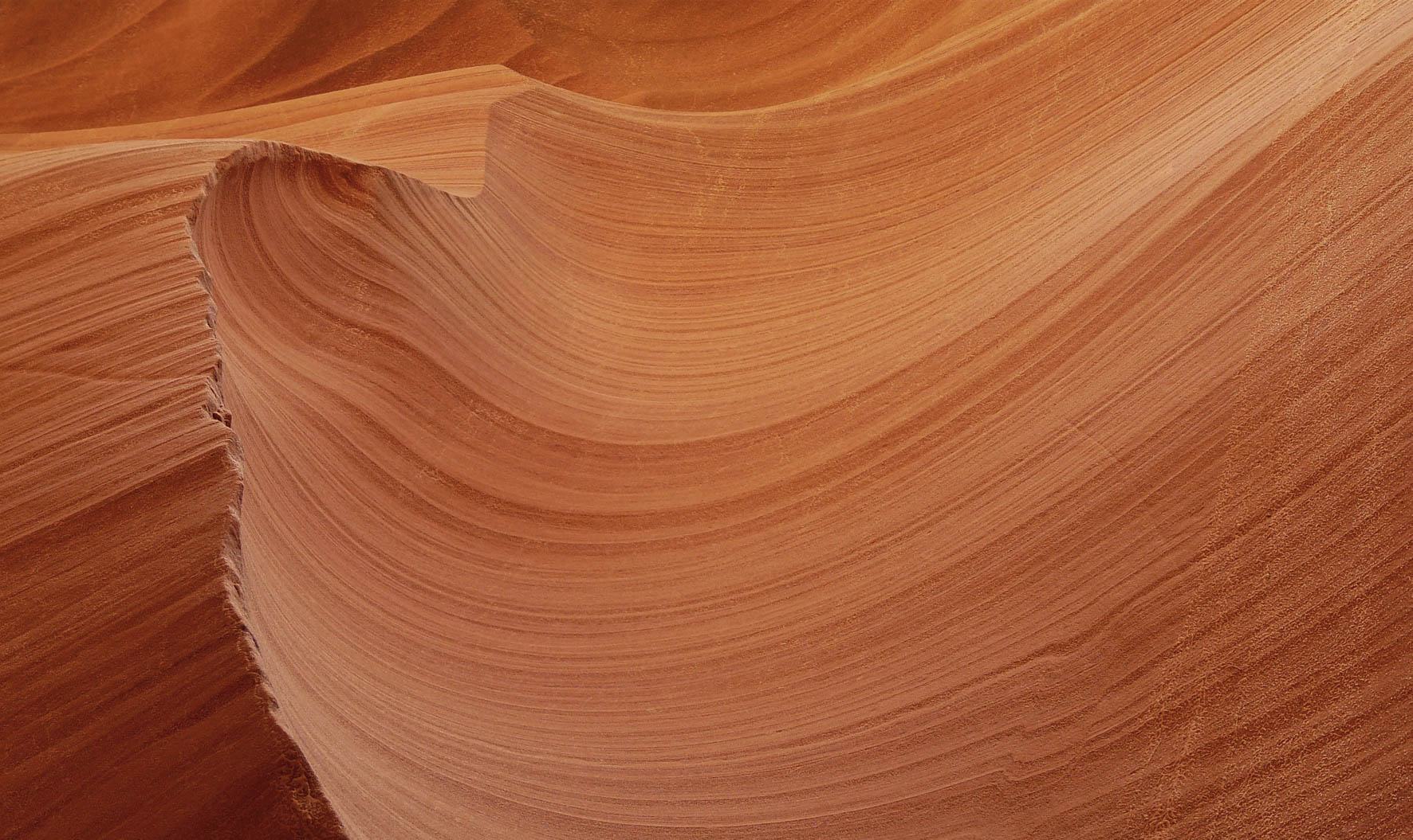 Art of Nature 008 Walldecoration Wandkraft 98x48 cm