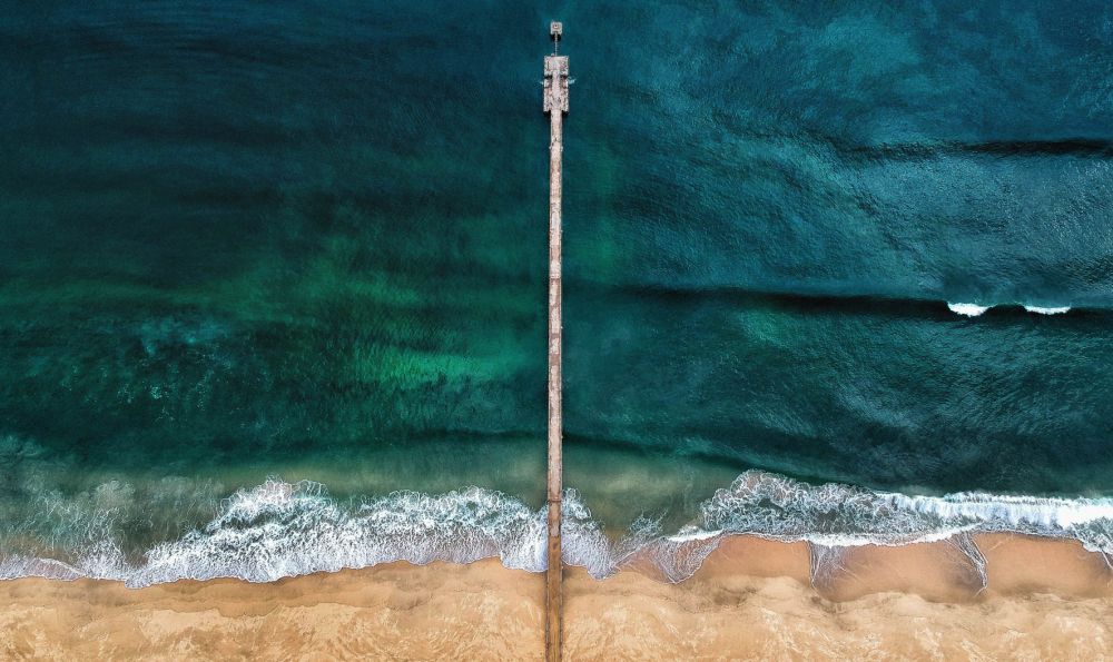 Art of Nature 009 Walldecoration Wandkraft 118x70 cm