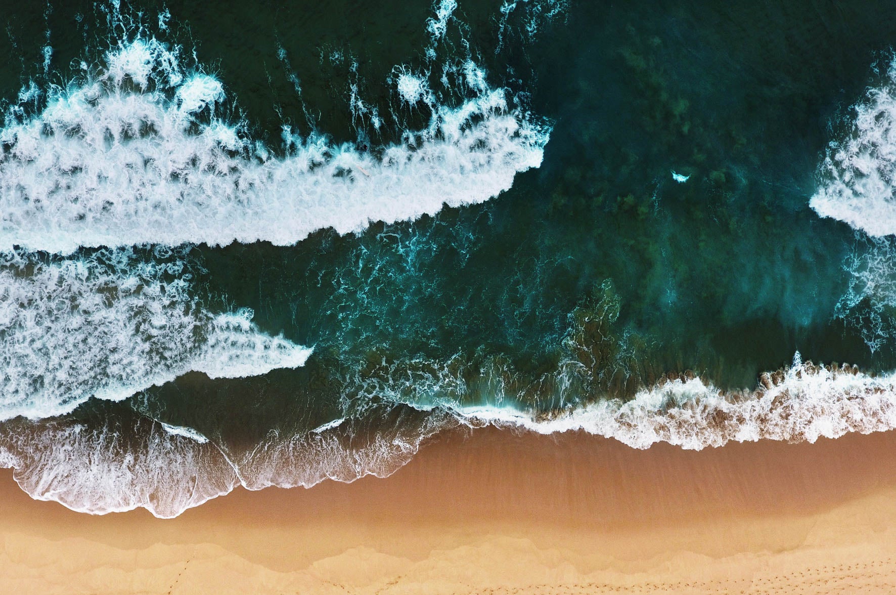 Art of Nature 010 Walldecoration Wandkraft 118x70 cm