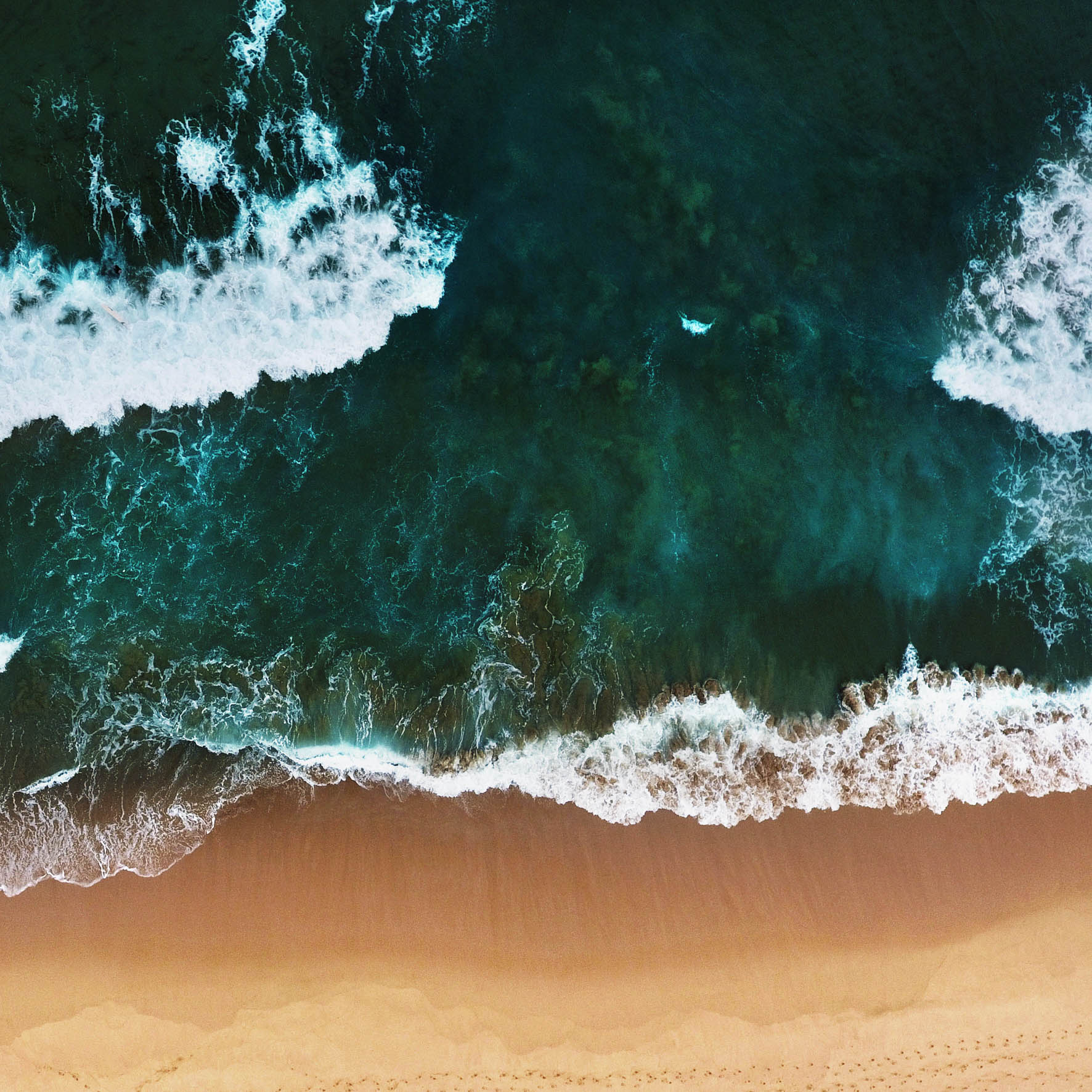 Art of Nature 010 Walldecoration Wandkraft 74x74 cm