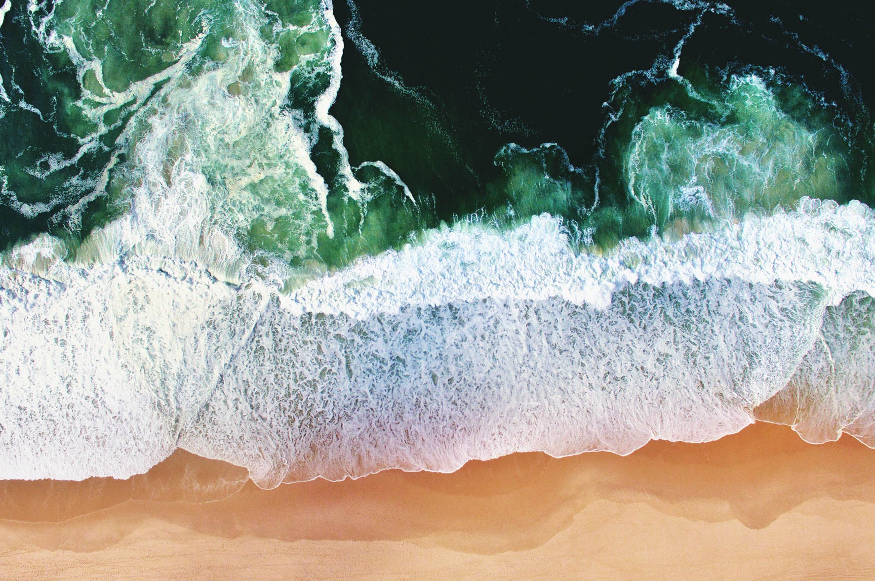 Art of Nature 011 Walldecoration Wandkraft 118x70 cm