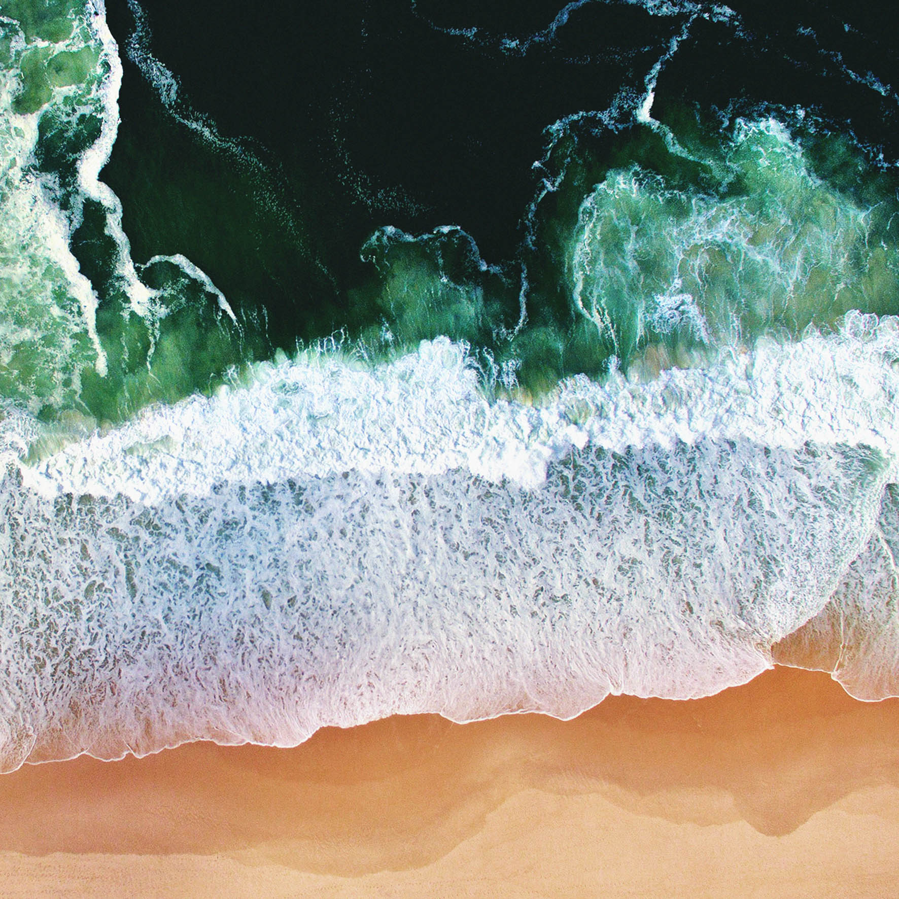 Art of Nature 011 Walldecoration Wandkraft 74x74 cm