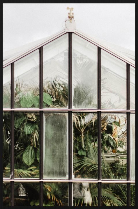 Botanical Stories 012 Walldecoration Wandkraft 70x118 cm
