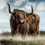 European Wildlife 008 Walldecoration Wandkraft 148x98 cm