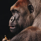 Wildlife 002 Walldecoration Wandkraft 98x148 cm