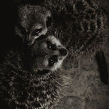 Wildlife 003 Walldecoration Wandkraft 70x118 cm