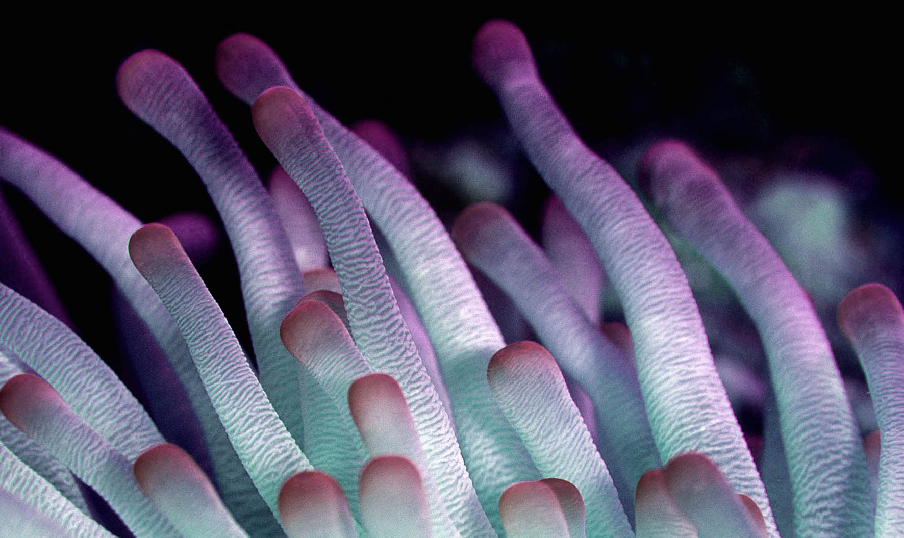 Wonderful Life 021 (Outlet) Walldecoration Wandkraft