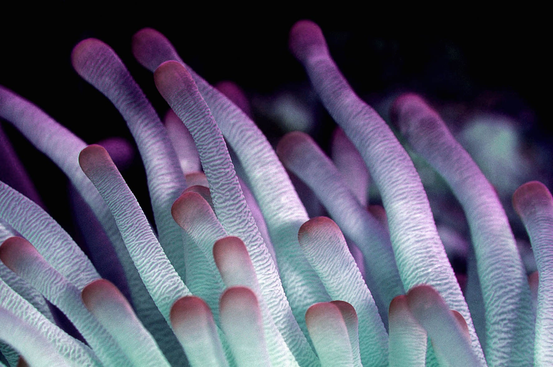 Wonderful Life 021 (Outlet) Walldecoration Wandkraft