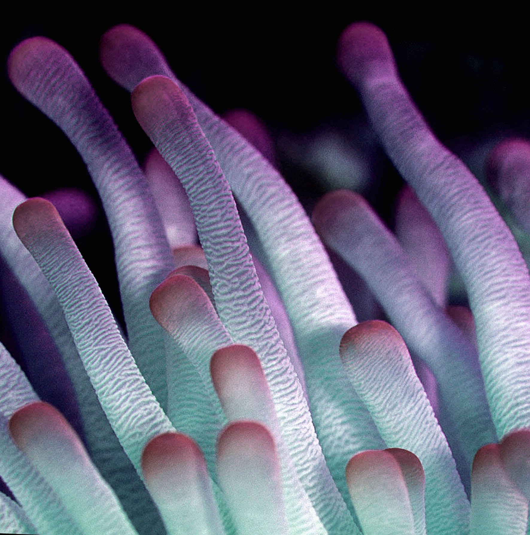 Wonderful Life 021 (Outlet) Walldecoration Wandkraft 74x74 cm