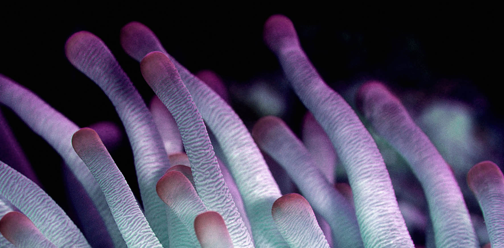 Wonderful Life 021 (Outlet) Walldecoration Wandkraft