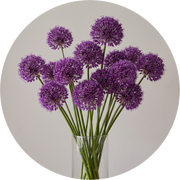 Allium Mist, œuvre ronde sur dibond de Wandkraft, Botanical Stories