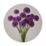 Allium Mist ronde dibond wanddecoratie Wandkraft