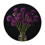 Allium Nocturne ronde dibond wanddecoratie Wandkraft