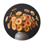 Apricot Reverie ronde dibond wanddecoratie Wandkraft