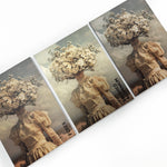 Wandkraft sample kit Wandkraft