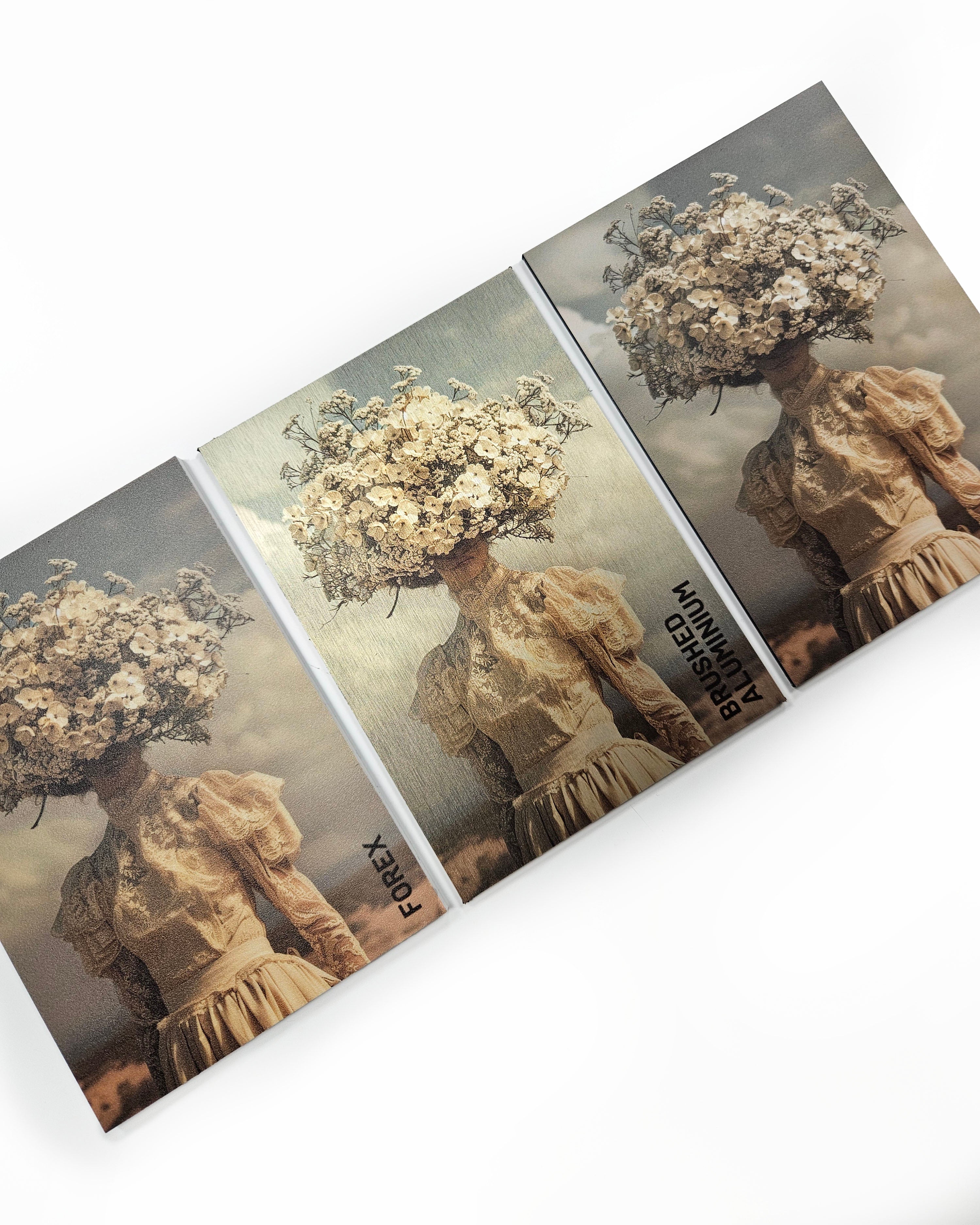 Wandkraft sample kit Wandkraft