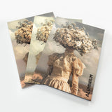 Wandkraft sample kit Wandkraft