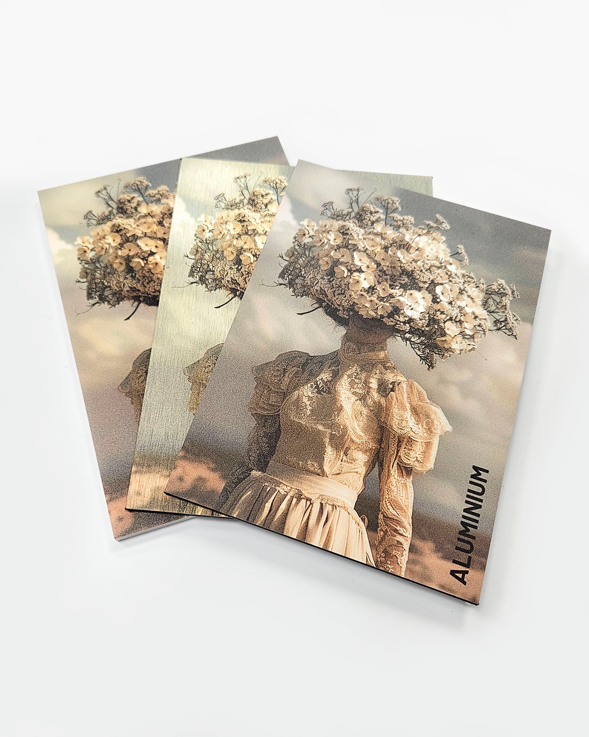 Wandkraft sample kit Wandkraft