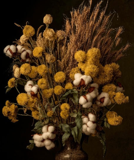 Cotton Wild Flowers