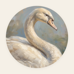 Silent Swan rond schilderij