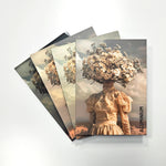 Wandkraft sample kit Wandkraft