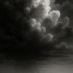 Amber Storm - zwart-wit dierportret, Wandkraft