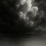 Amber Storm - zwart-wit dierportret, Wandkraft
