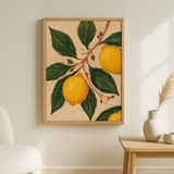 Citrus Grove van Wandkraft op akoestisch vilt in blanke baklijst, in een licht Scandinavisch interieur.