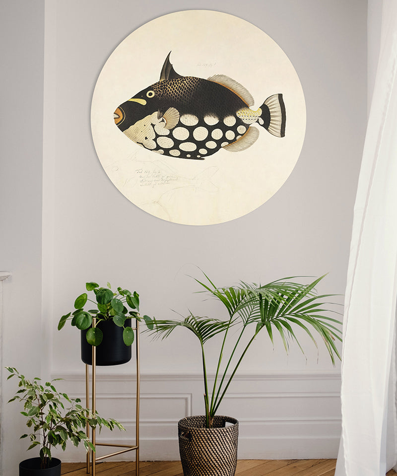 Fish Black Walldecoration Wandkraft