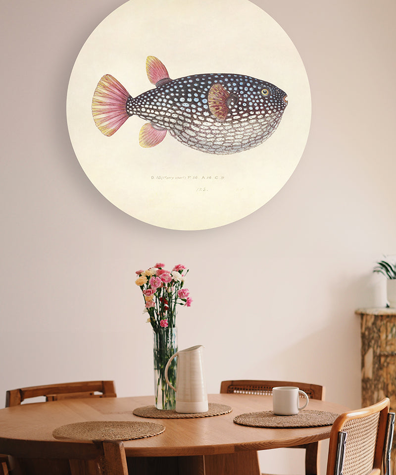 Blowfish Walldecoration Wandkraft