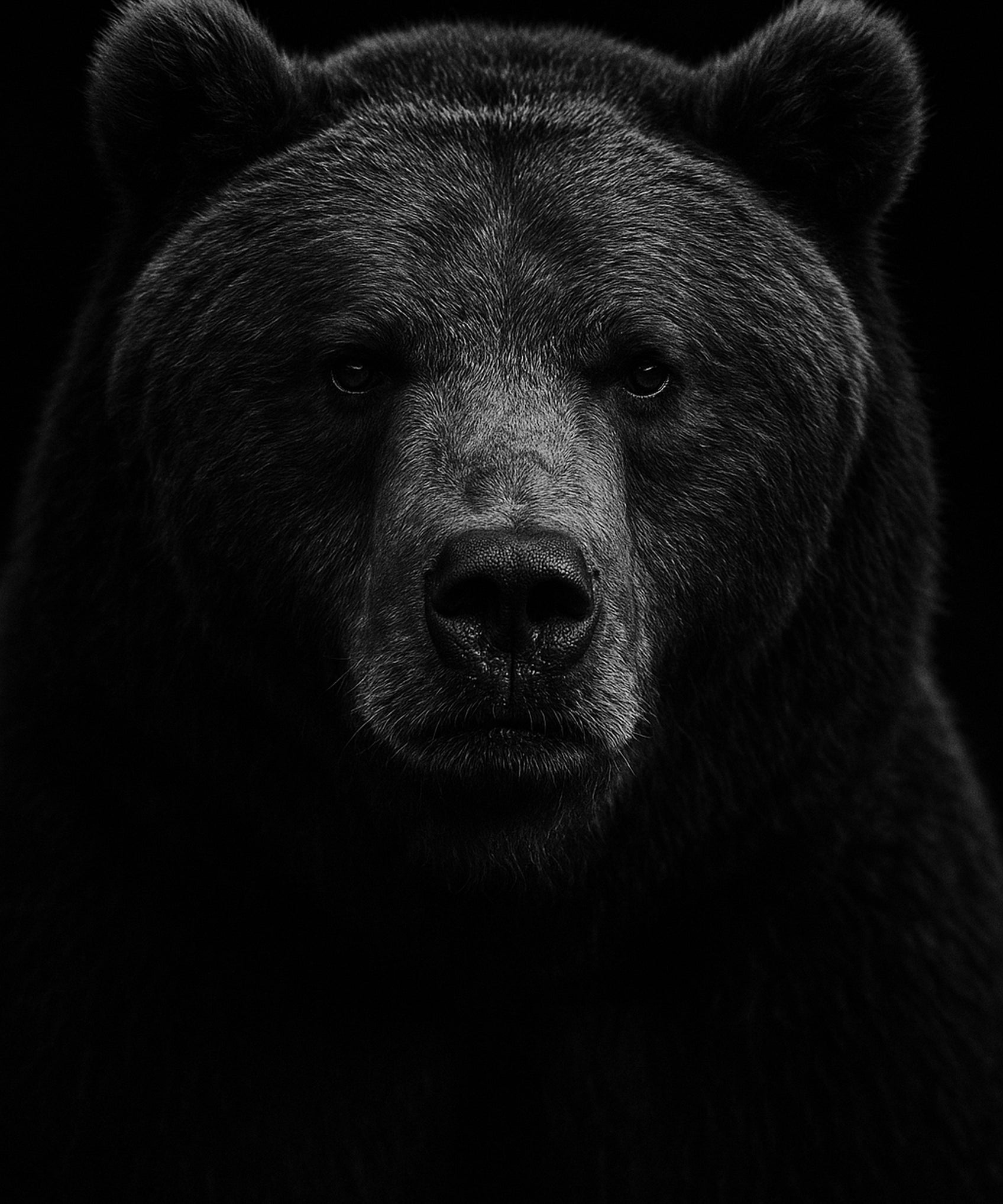 Deep Timber - zwart-wit dierportret, Wandkraft