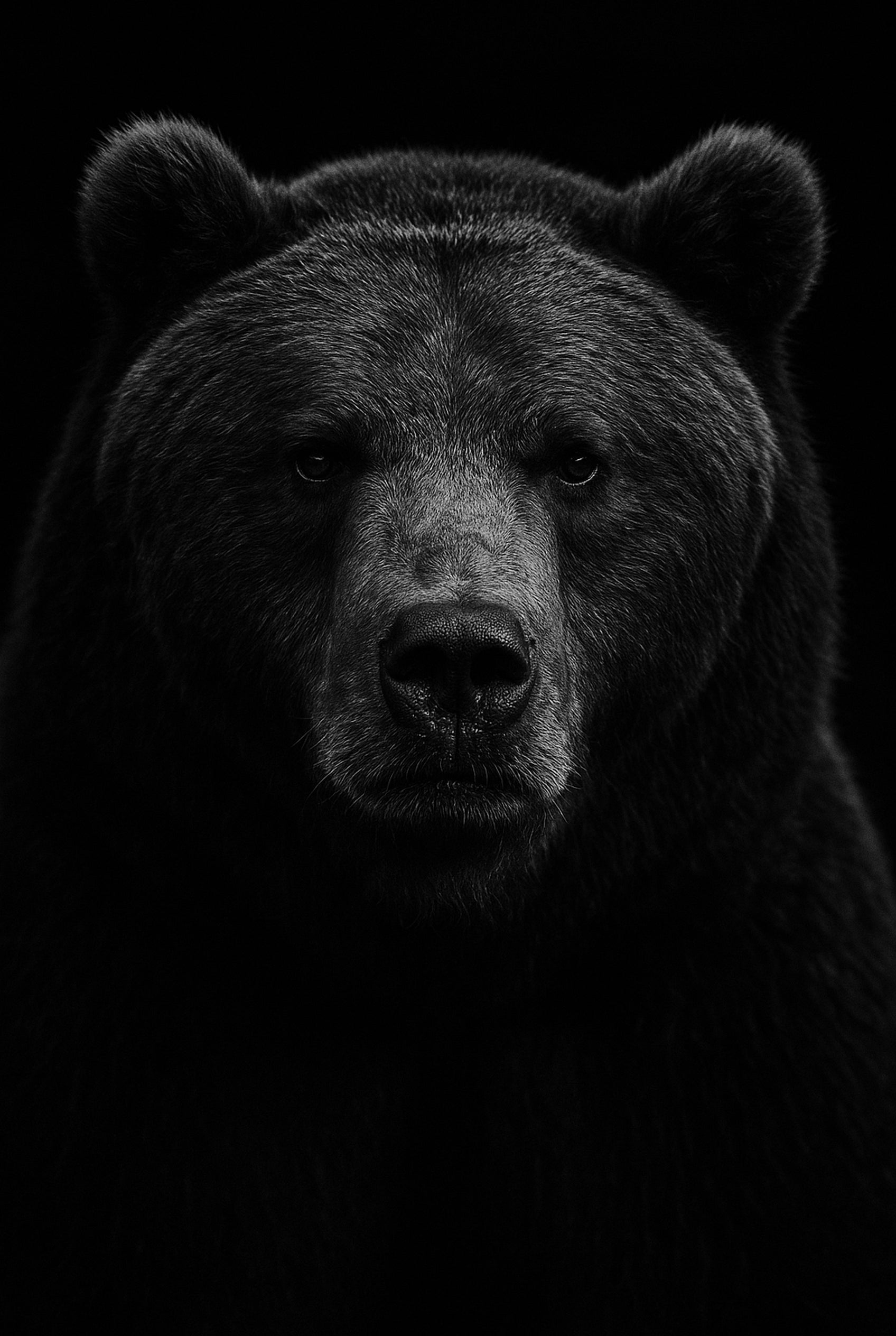 Deep Timber - zwart-wit dierportret, Wandkraft
