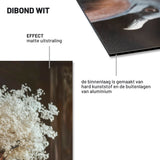 Dibond materiaal
