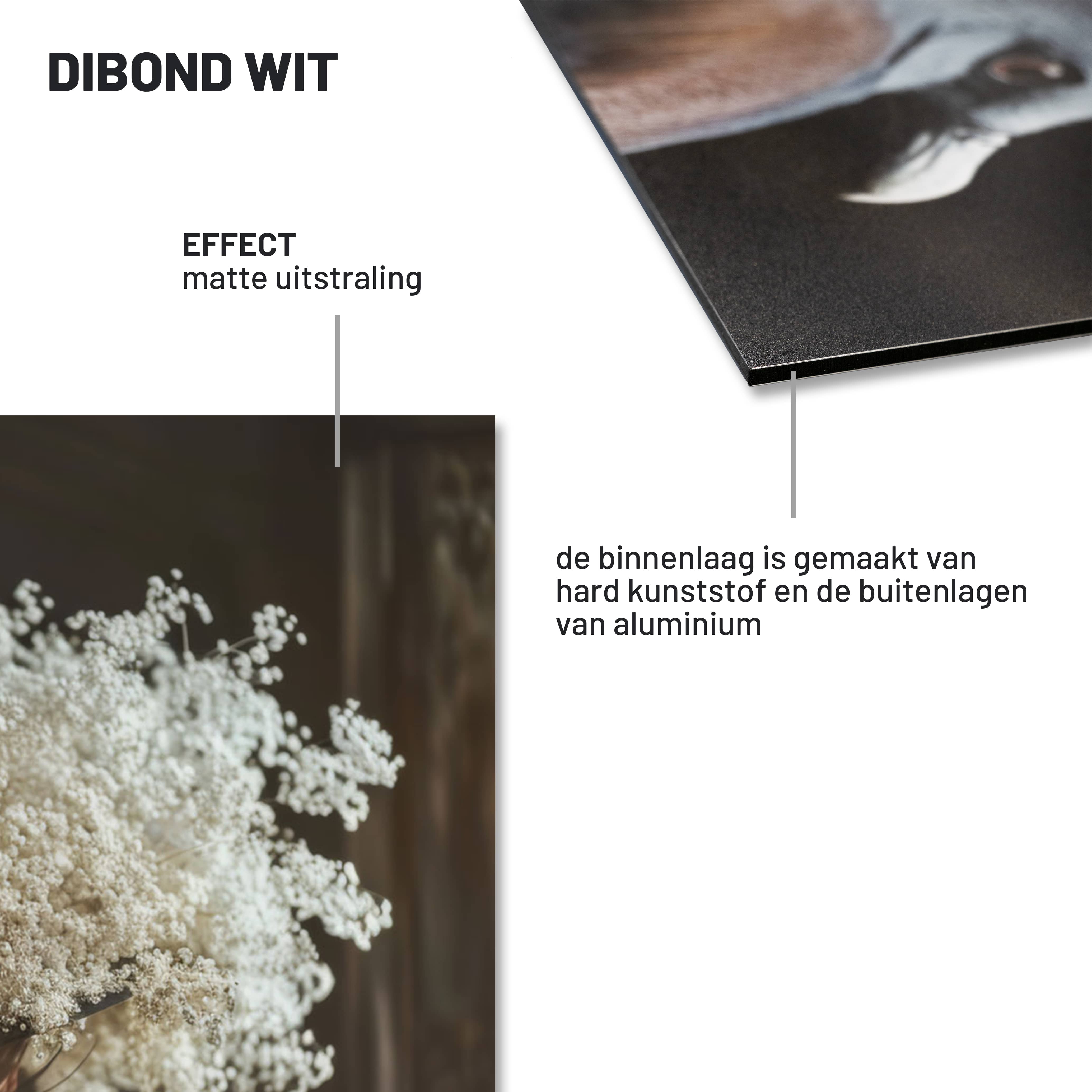 Dibond materiaal
