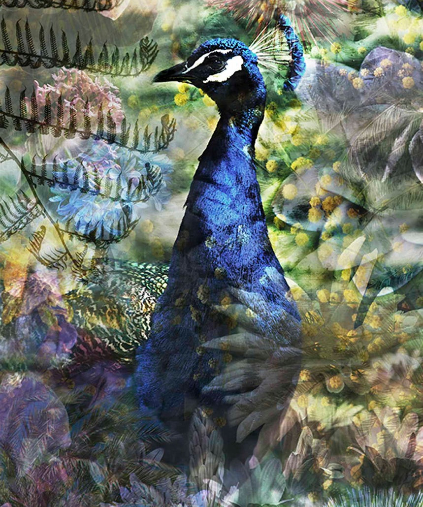 Proud Peacock Walldecoration Wandkraft