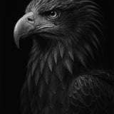 Iron Beak - zwart-wit dierportret, Wandkraft