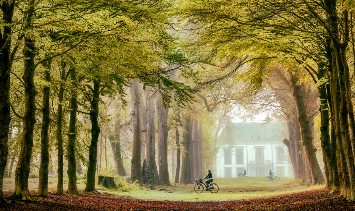 A Path for Many Walldecoration Wandkraft 70x50 cm Plexiglas Fine Art glans Aluminium profiel
