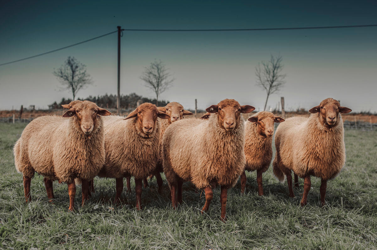 At the Farm 007 Walldecoration Wandkraft 118x70 cm