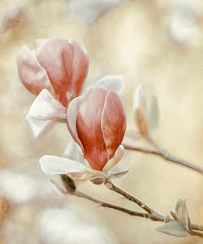 Blooming Hearts Walldecoration Wandkraft 50x70 cm Plexiglas Fine Art glans Aluminium profiel