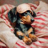 Dreaming Dachshund