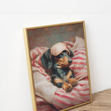 Dreaming Dachshund