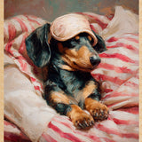 Dreaming Dachshund