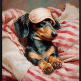 Dreaming Dachshund