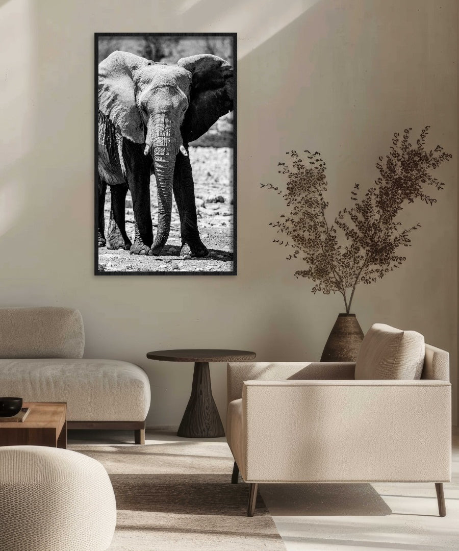 Monochrome Majesty Walldecoration Wandkraft