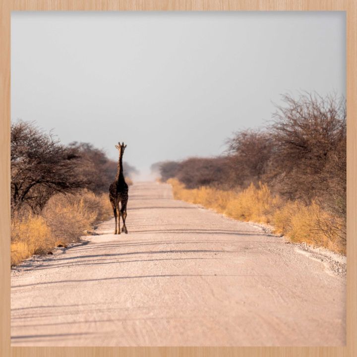 Tall Traveler Walldecoration Wandkraft 74x74 cm Houten lijst blank