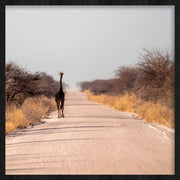 Décoration murale Wandkraft : girafe marchant sur un chemin poussiéreux en tons chauds, art mural moderne sur dibond de Wandkraft, atmosphérique et élégant. Pour un intérieur élégant